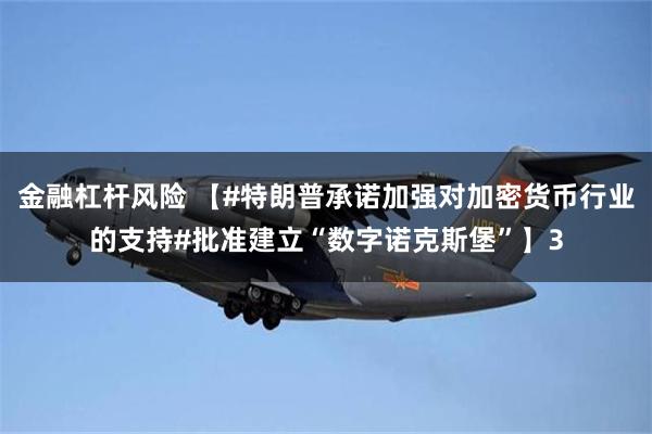 金融杠杆风险 【#特朗普承诺加强对加密货币行业的支持#批准建立“数字诺克斯堡”】3