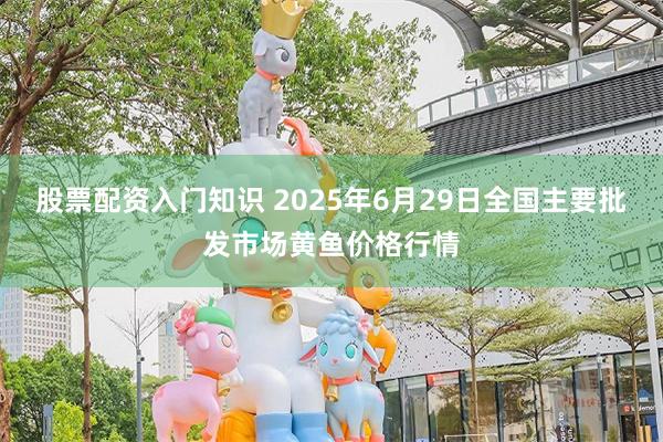 股票配资入门知识 2025年6月29日全国主要批发市场黄鱼价格行情
